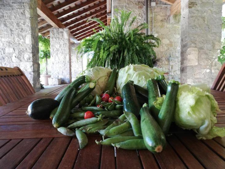 Ronc Dai Luchis Villa Faedis Exterior foto