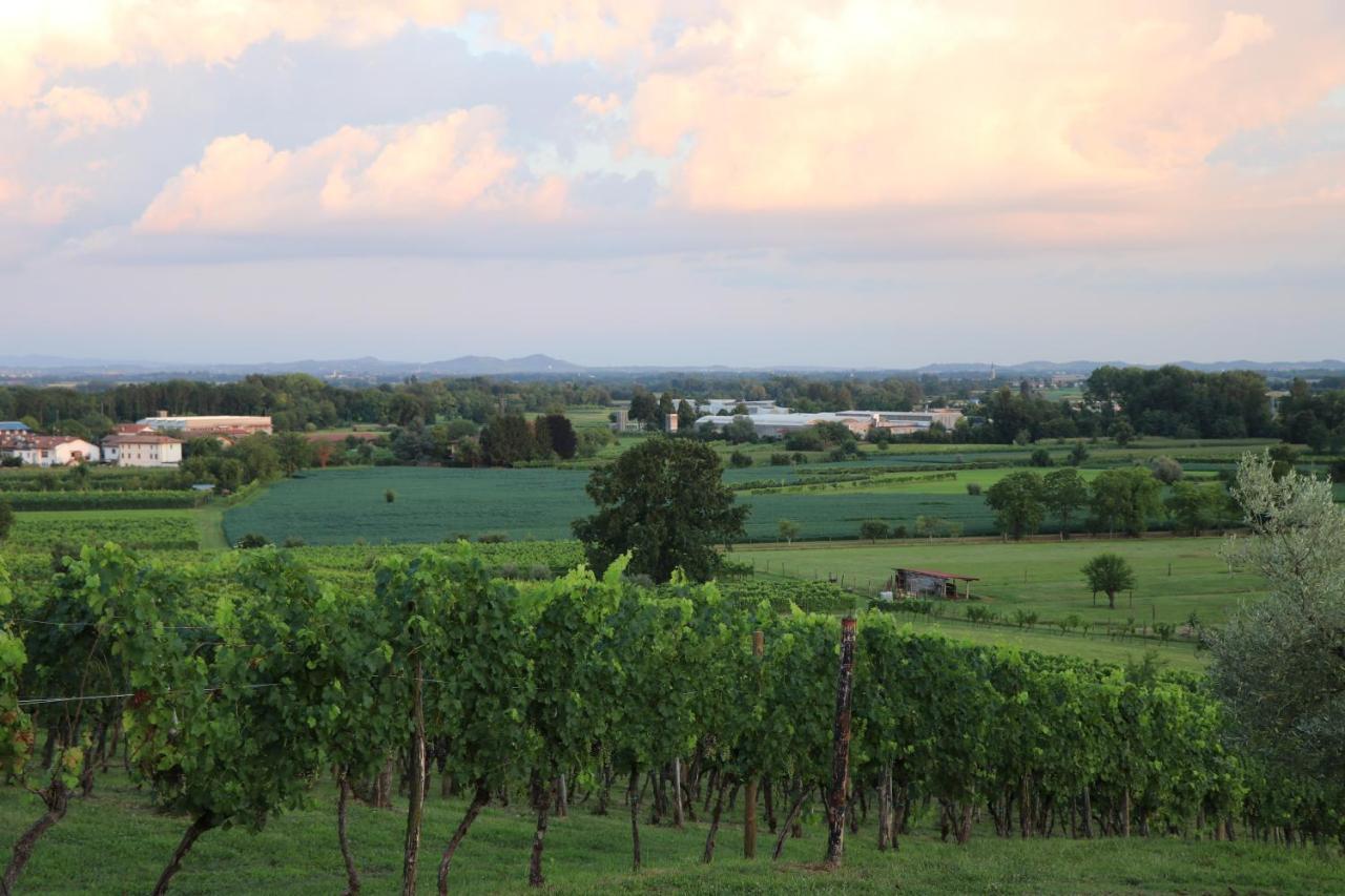Ronc Dai Luchis Villa Faedis Exterior foto